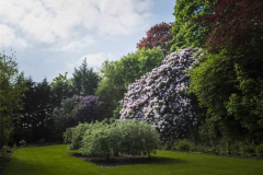 Kinlochhouse.com External 2019